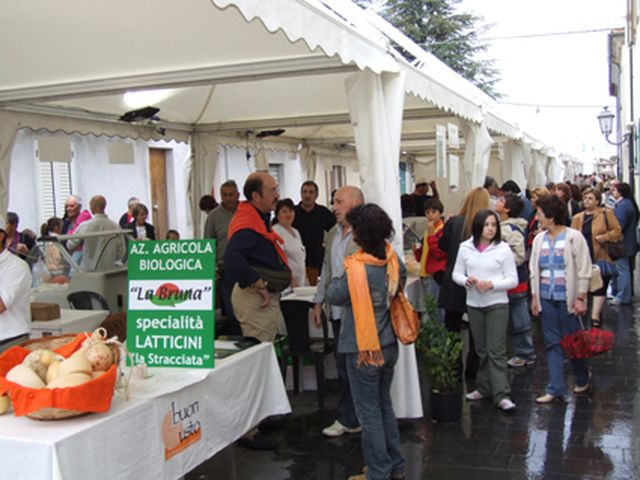Passeggiando tra gli stand