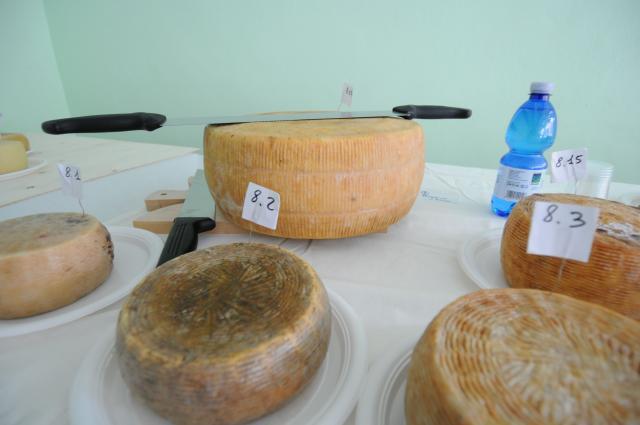 BuonGusto08_20080913-113638-DSC_8068