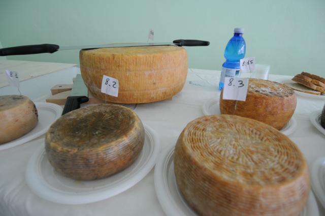 BuonGusto08_20080913-113641-DSC_8069