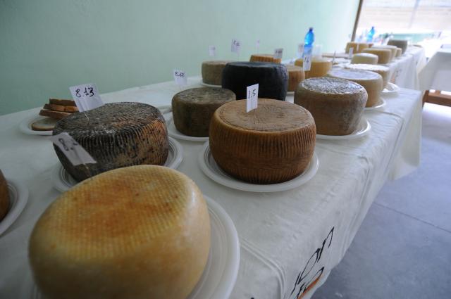 BuonGusto08_20080913-113648-DSC_8070