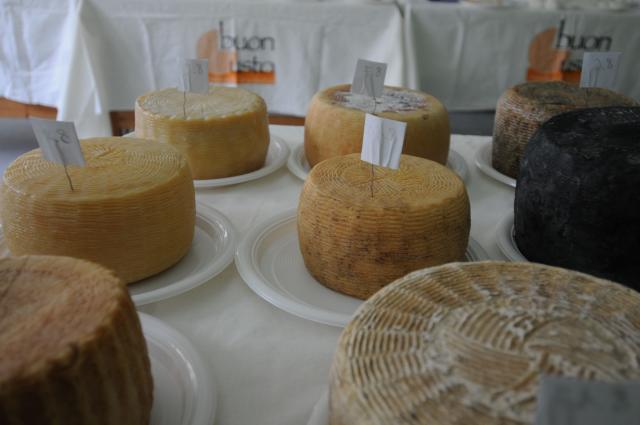 BuonGusto08_20080913-114002-DSC_8080
