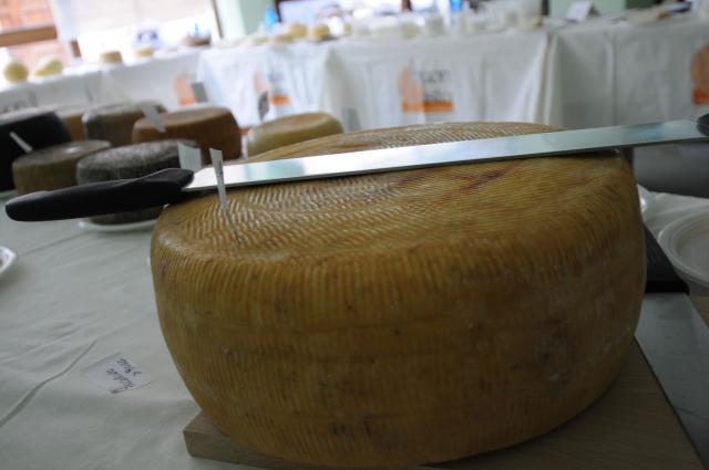 BuonGusto08_20080913-114045-DSC_8083