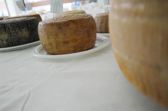 BuonGusto08_20080913-114058-DSC_8085