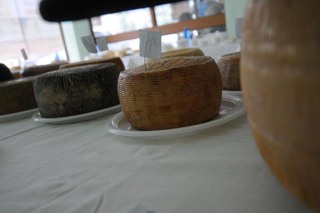 BuonGusto08_20080913-114101-DSC_8086