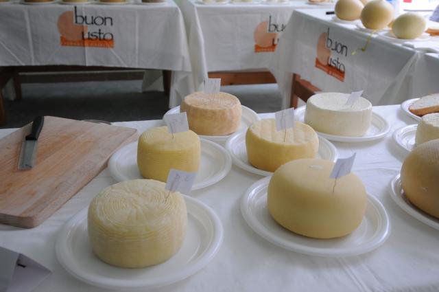 BuonGusto08_20080913-114159-DSC_8091