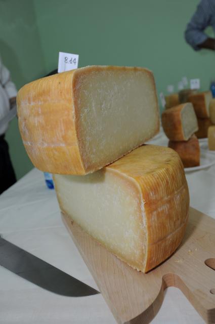 BuonGusto08_20080913-120129-DSC_8111