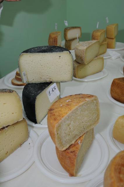 BuonGusto08_20080913-120134-DSC_8112