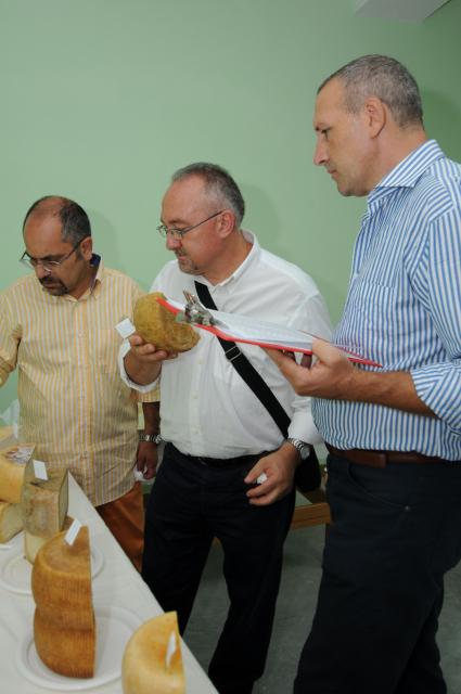 BuonGusto08_20080913-120742-DSC_8115