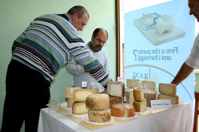Buon Gusto 2009-6