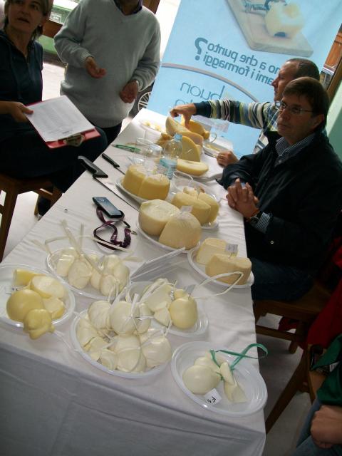 buongusto 027