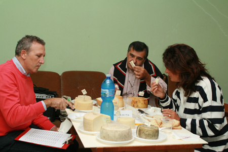 giuria a lavoro_4