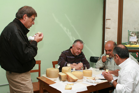 giuria a lavoro_6