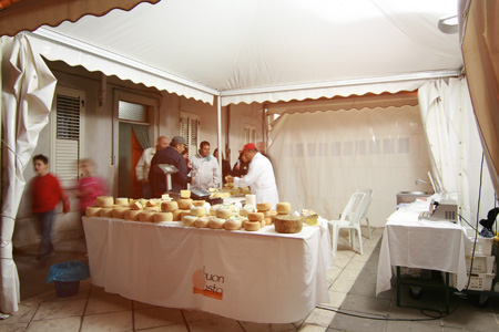 mostra mercato_13
