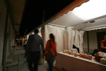 mostra mercato_9