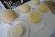 BuonGusto08_20080913-113612-DSC_8066