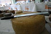 BuonGusto08_20080913-114038-DSC_8082