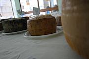 BuonGusto08_20080913-114052-DSC_8084
