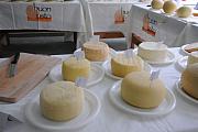 BuonGusto08_20080913-114159-DSC_8091