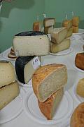 BuonGusto08_20080913-120134-DSC_8112