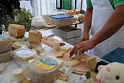 BuonGusto08_20080914-115033-DSC_8294