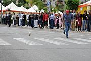 BuonGusto08_20080914-161952-DSC_8507
