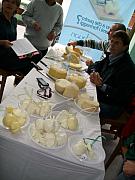 buongusto 027