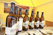 area degustazione_9