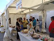 mostra mercato_15