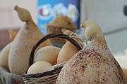 mostra mercato_4