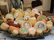 mostra mercato_61