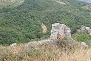 BuonGusto08_20080914-141205-DSC_8394